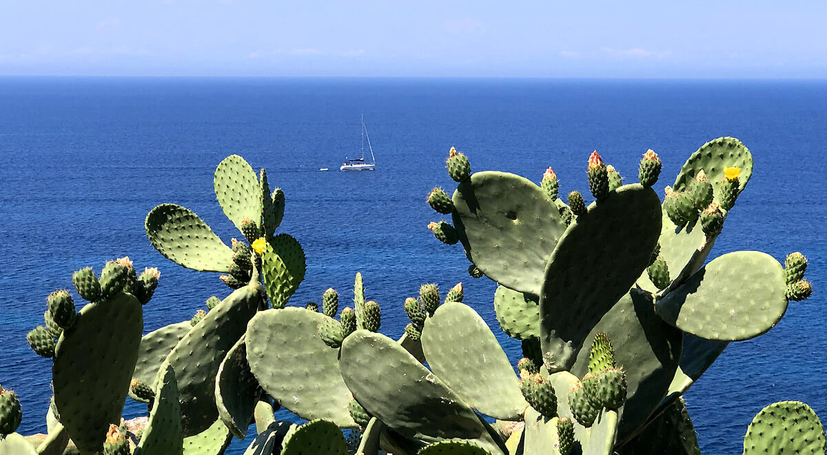 Trekking on Elba Island