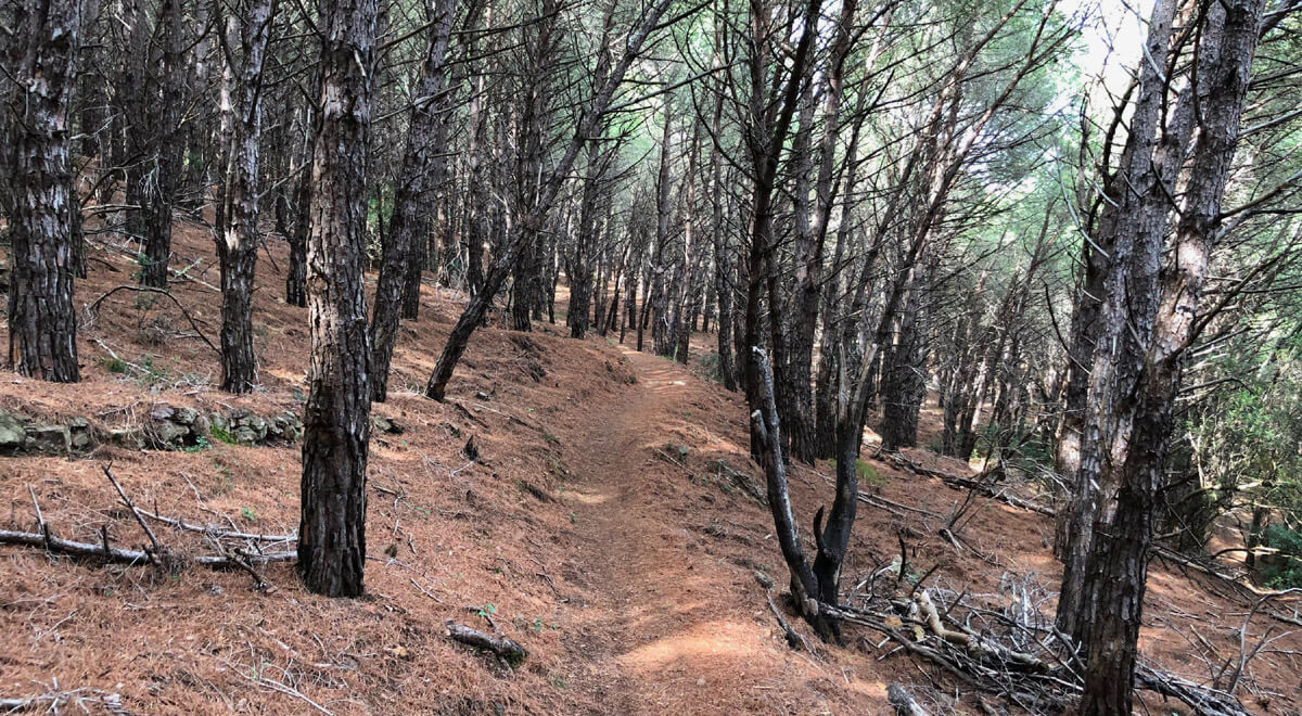 Trekking auf der Insel Elba